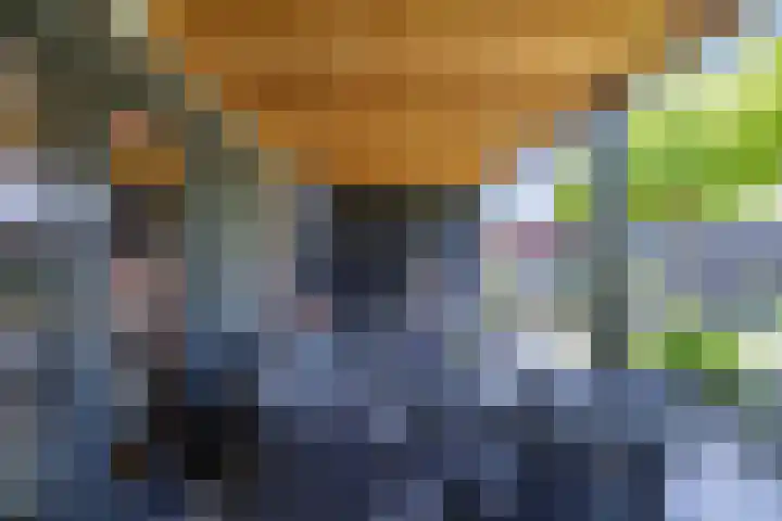 Albert Wiggerssingel 23 Emmeloord thumbnail 24