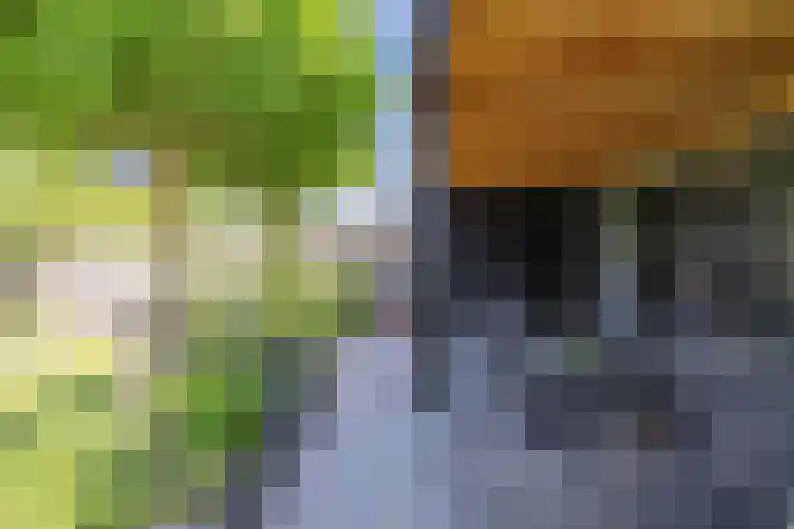 Albert Wiggerssingel 23 Emmeloord thumbnail 25