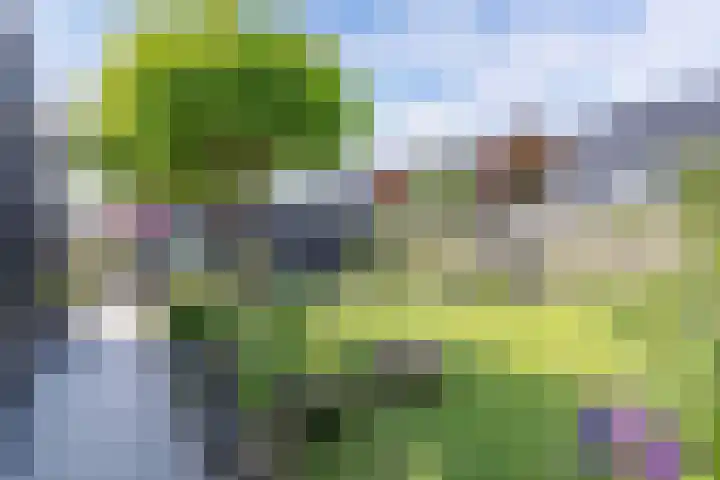 Albert Wiggerssingel 23 Emmeloord thumbnail 26