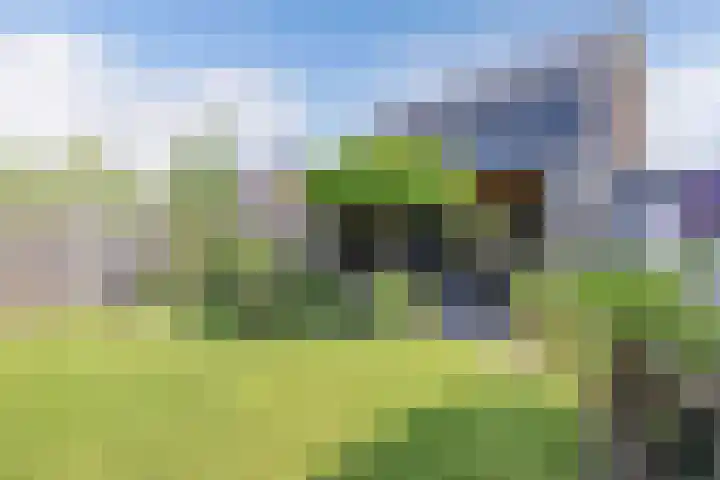 Albert Wiggerssingel 23 Emmeloord thumbnail 29