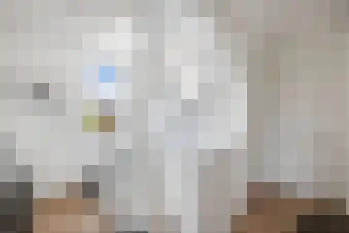 Albert Wiggerssingel 23 Emmeloord thumbnail 35
