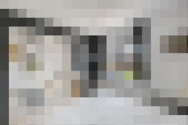Albert Wiggerssingel 23 Emmeloord thumbnail 38