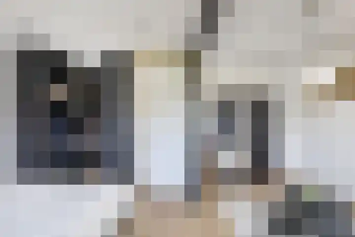 Albert Wiggerssingel 23 Emmeloord thumbnail 40