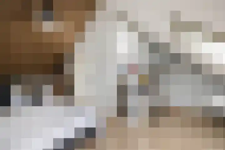 Albert Wiggerssingel 23 Emmeloord thumbnail 48