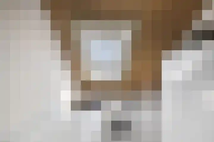 Albert Wiggerssingel 23 Emmeloord thumbnail 49