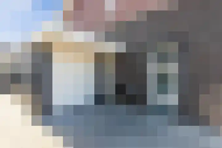 Albert Wiggerssingel 7 Emmeloord thumbnail 12
