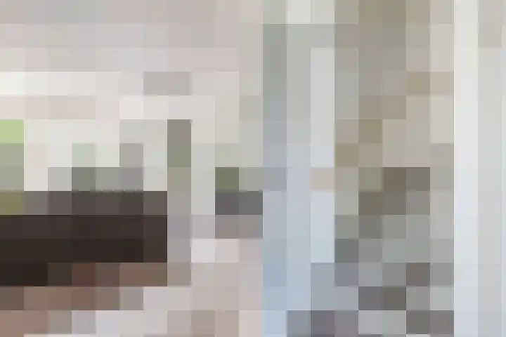 Albert Wiggerssingel 7 Emmeloord thumbnail 16
