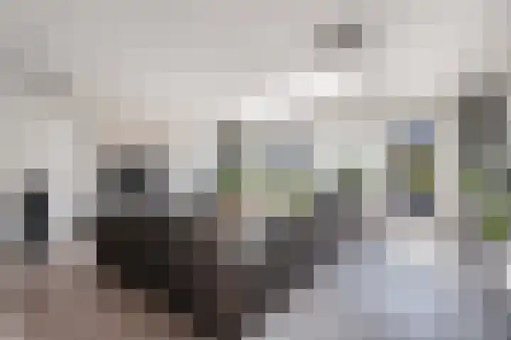 Albert Wiggerssingel 7 Emmeloord thumbnail 18