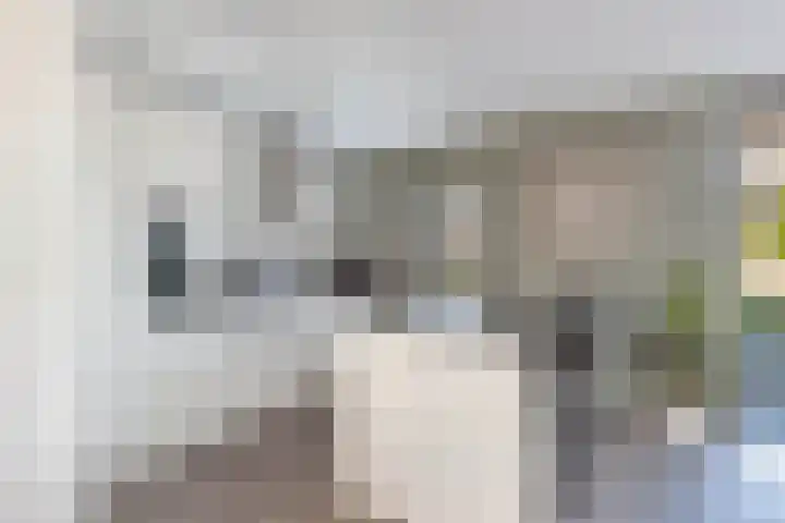 Albert Wiggerssingel 7 Emmeloord thumbnail 23