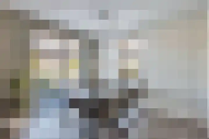 Albert Wiggerssingel 7 Emmeloord thumbnail 24