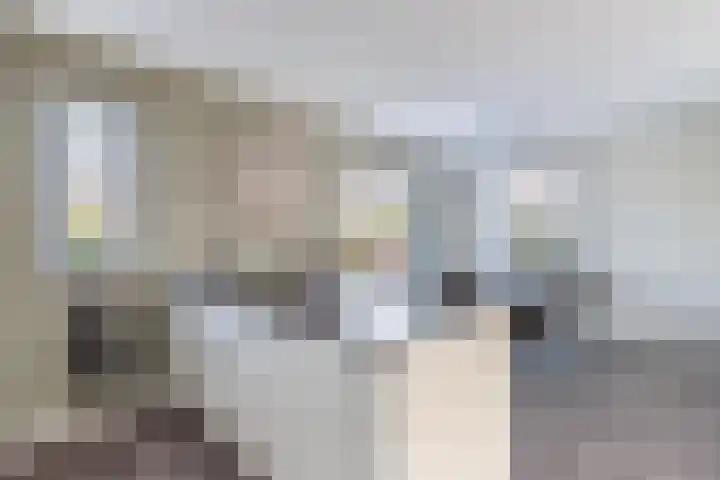 Albert Wiggerssingel 7 Emmeloord thumbnail 29