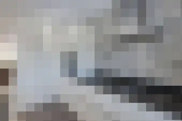 Albert Wiggerssingel 7 Emmeloord thumbnail 31