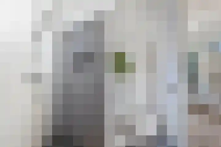 Albert Wiggerssingel 7 Emmeloord thumbnail 47