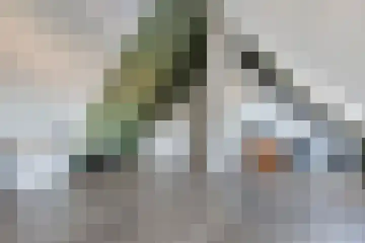 Albert Wiggerssingel 7 Emmeloord thumbnail 51