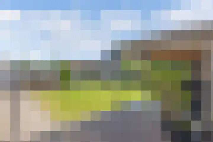 Albert Wiggerssingel 7 Emmeloord thumbnail 52