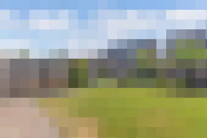 Albert Wiggerssingel 7 Emmeloord thumbnail 53