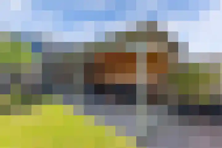 Albert Wiggerssingel 7 Emmeloord thumbnail 55