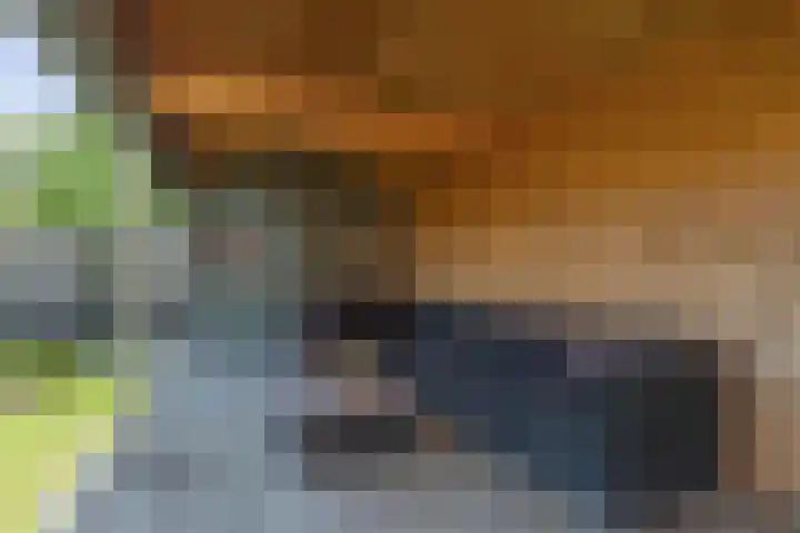 Albert Wiggerssingel 7 Emmeloord thumbnail 56