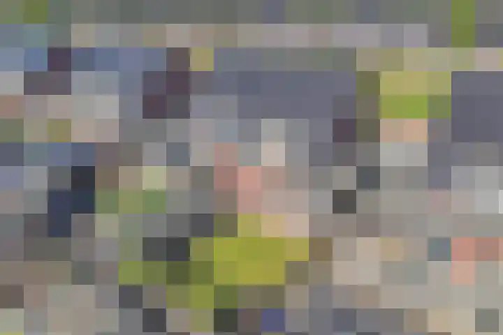 Albert Wiggerssingel 7 Emmeloord thumbnail 65