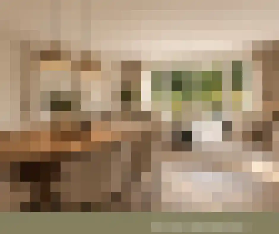 Albertahof 36 Steenbergen thumbnail 14