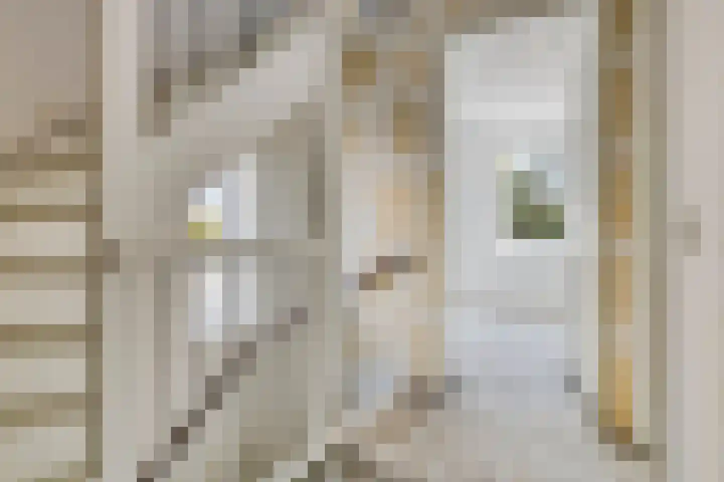 Albertahof 36 Steenbergen thumbnail 15