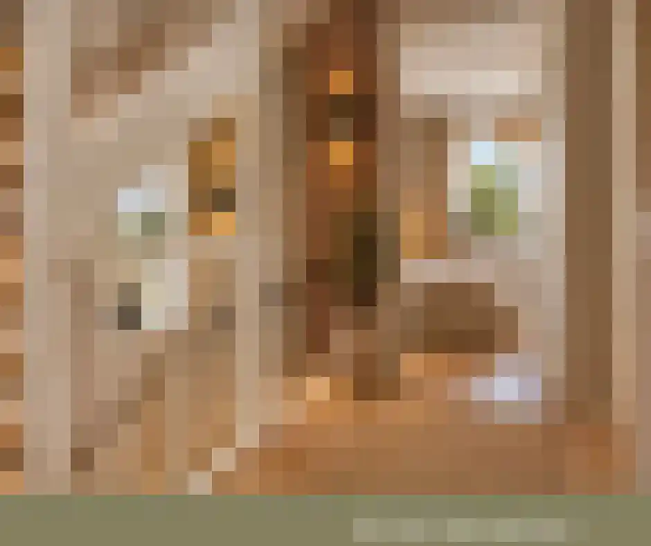 Albertahof 36 Steenbergen thumbnail 20