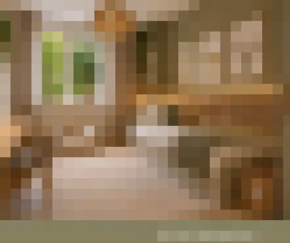 Albertahof 36 Steenbergen thumbnail 23