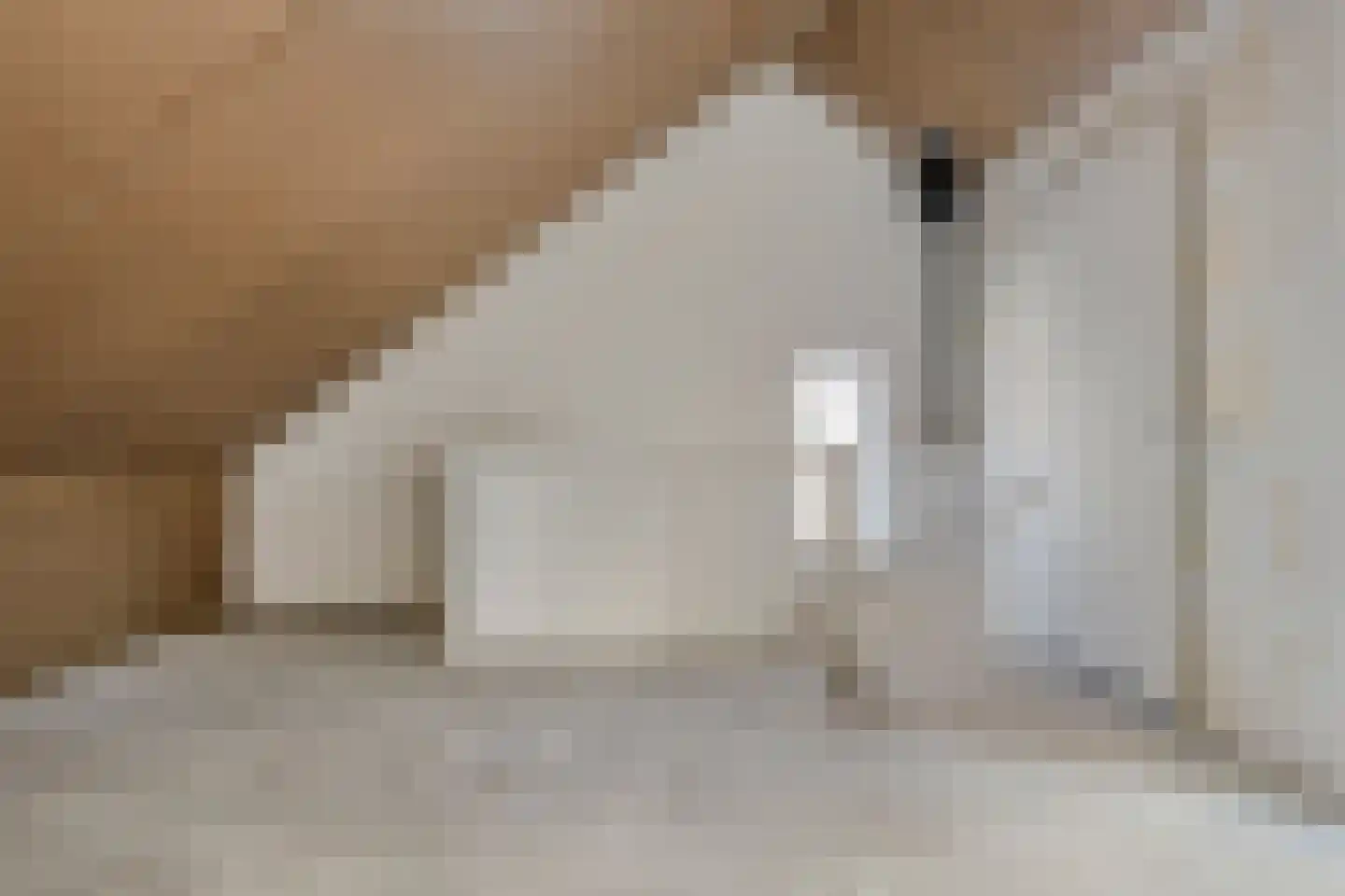 Albertahof 36 Steenbergen thumbnail 25