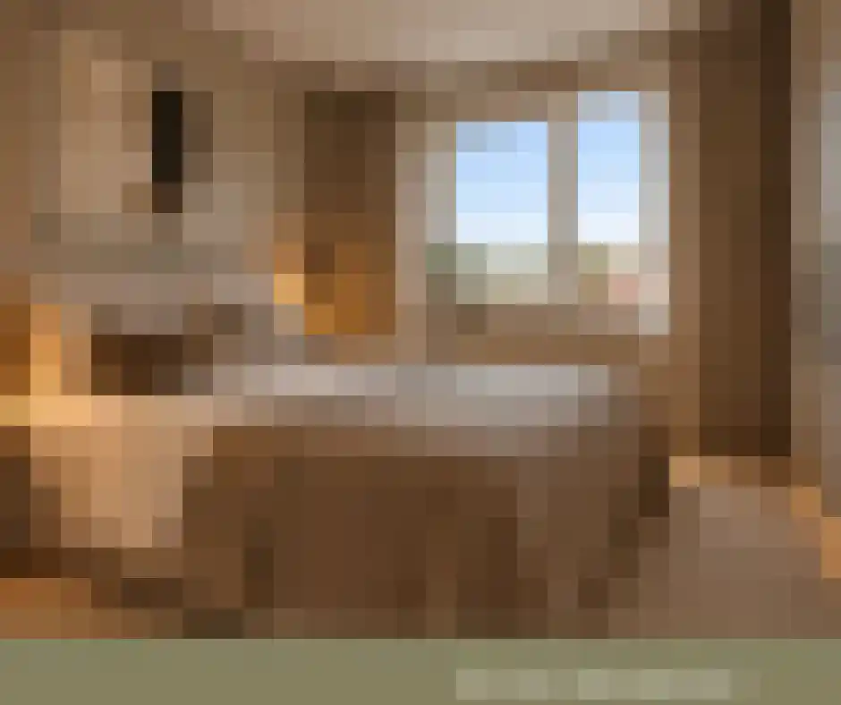 Albertahof 36 Steenbergen thumbnail 28