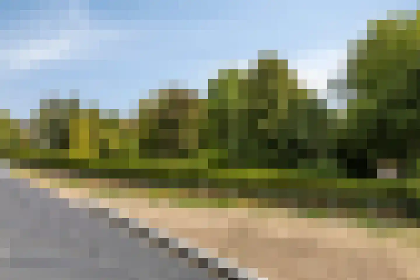 Albertahof 36 Steenbergen thumbnail 29