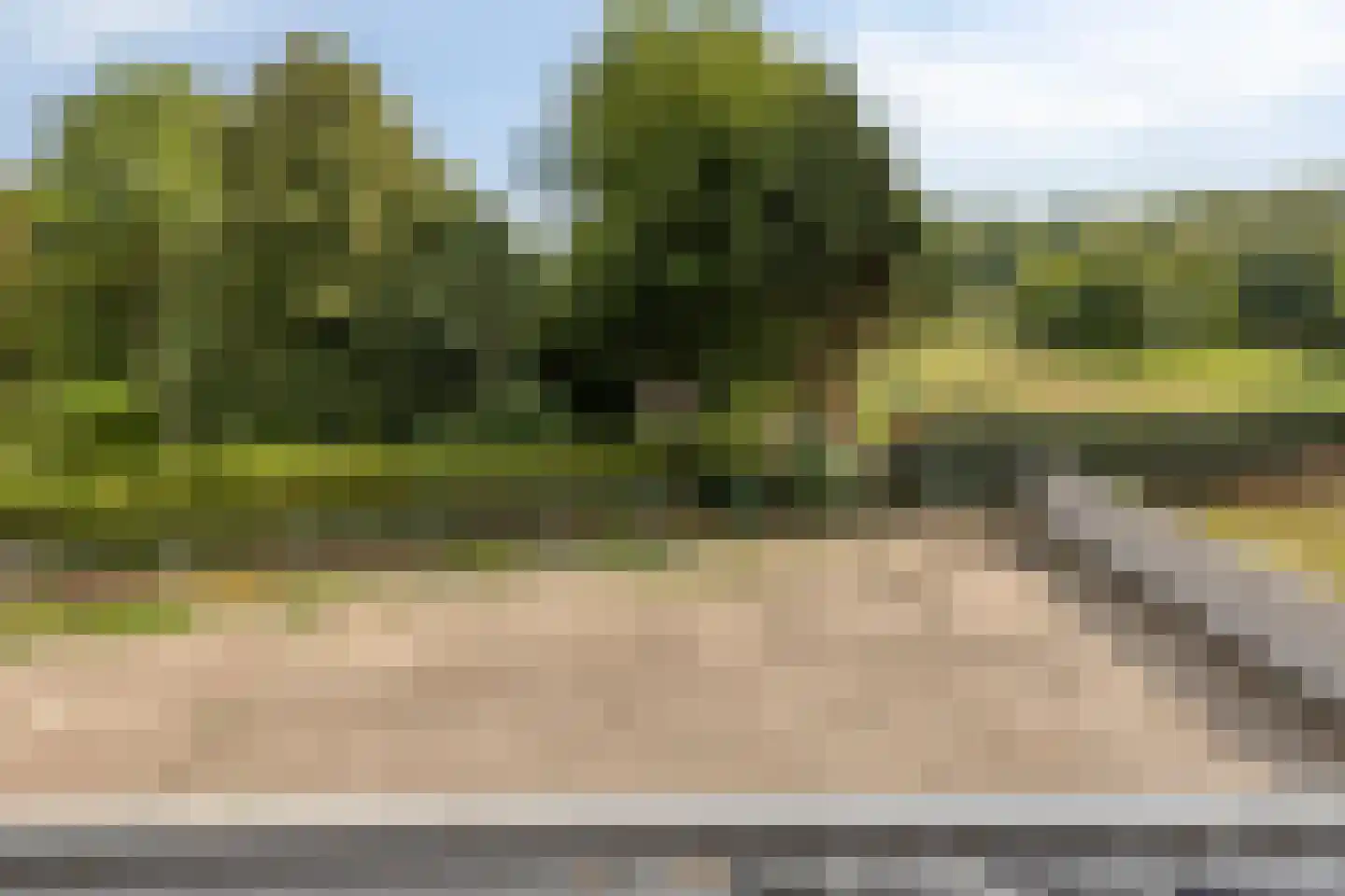 Albertahof 36 Steenbergen thumbnail 30