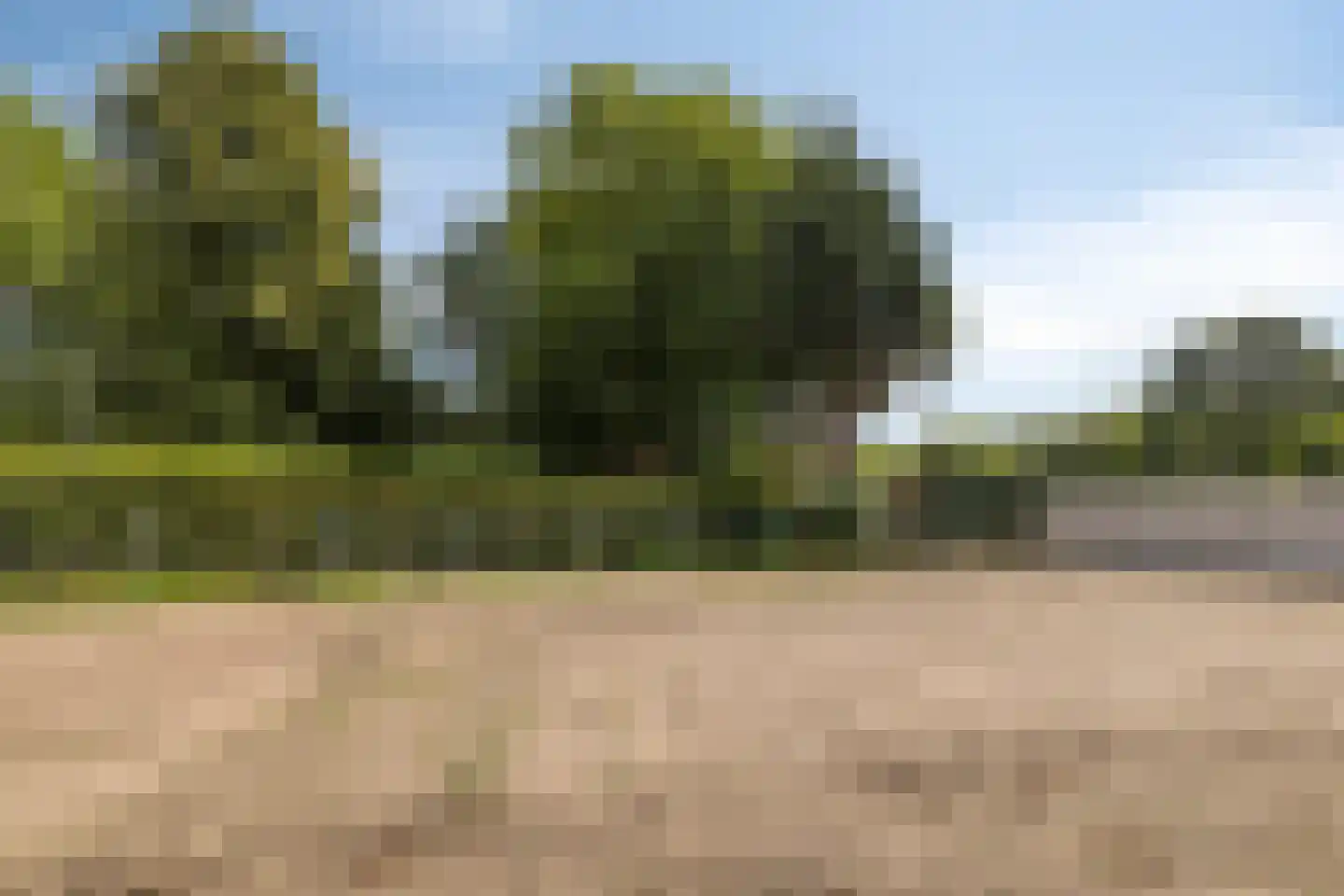 Albertahof 36 Steenbergen thumbnail 33