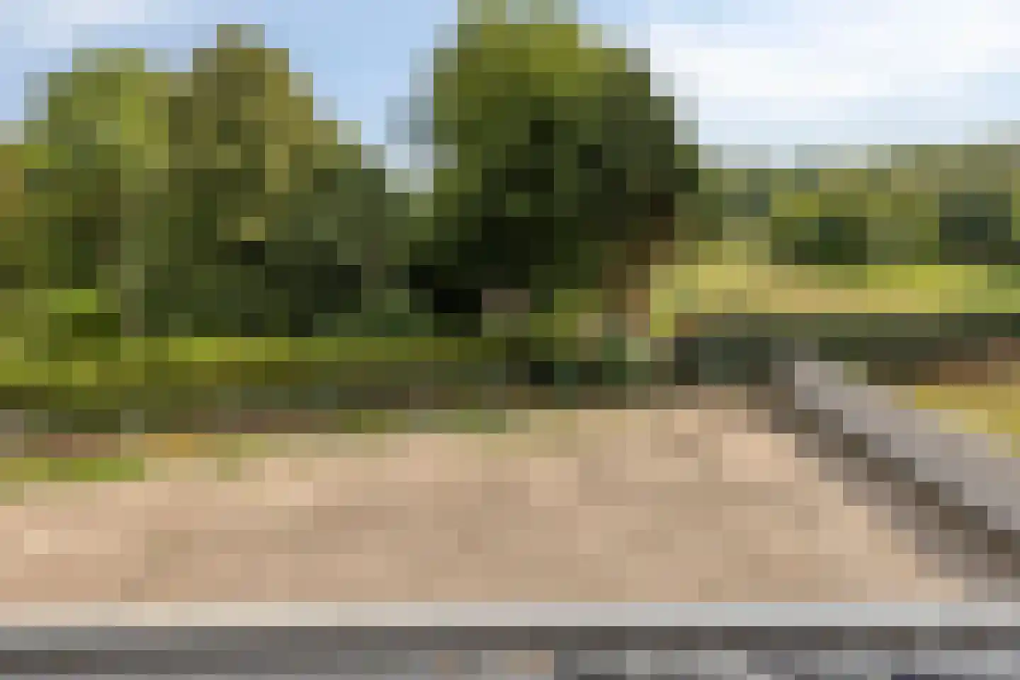 Albertahof 36 Steenbergen thumbnail 39