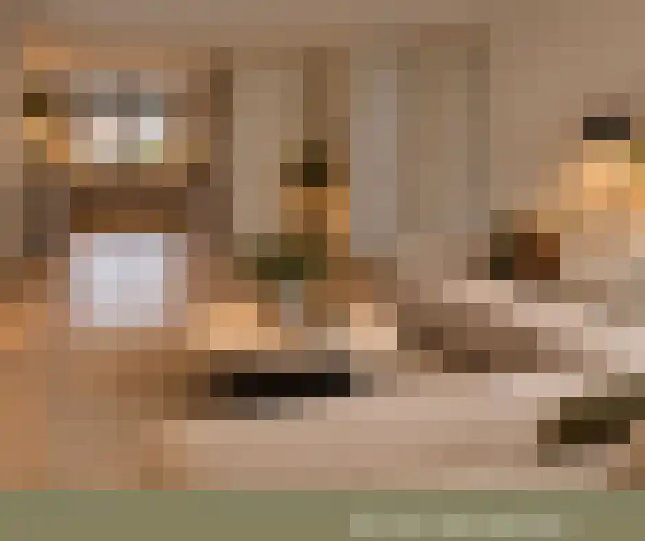 Albertahof 36 Steenbergen thumbnail 4