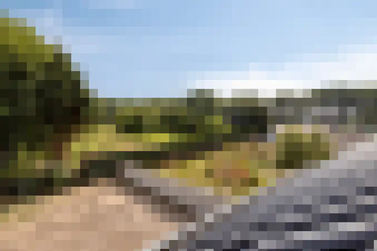 Albertahof 36 Steenbergen thumbnail 5