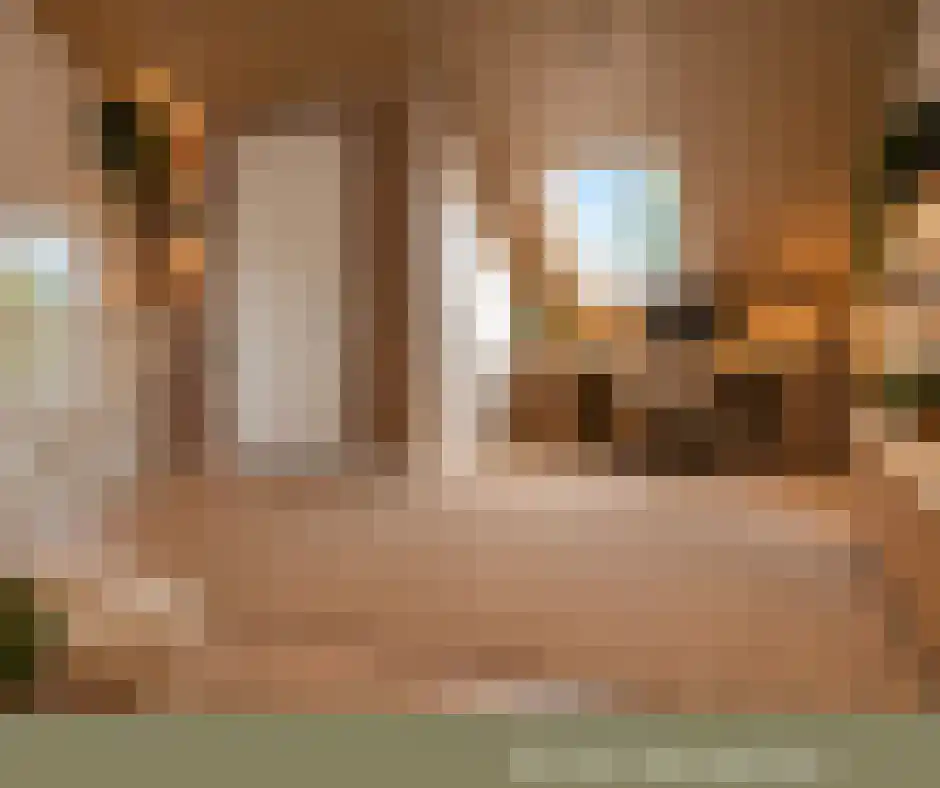 Albertahof 36 Steenbergen thumbnail 6