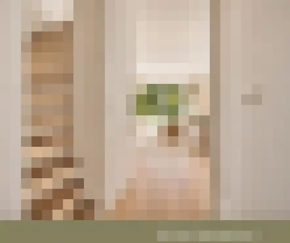 Albertahof 36 Steenbergen thumbnail 9