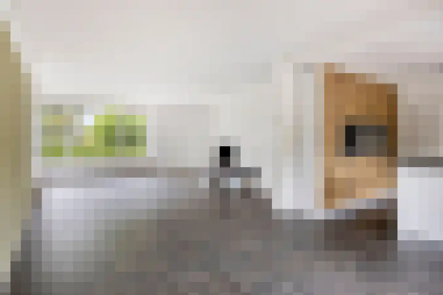 Alberthus Risaeusstraat 8 a Hardenberg thumbnail 10