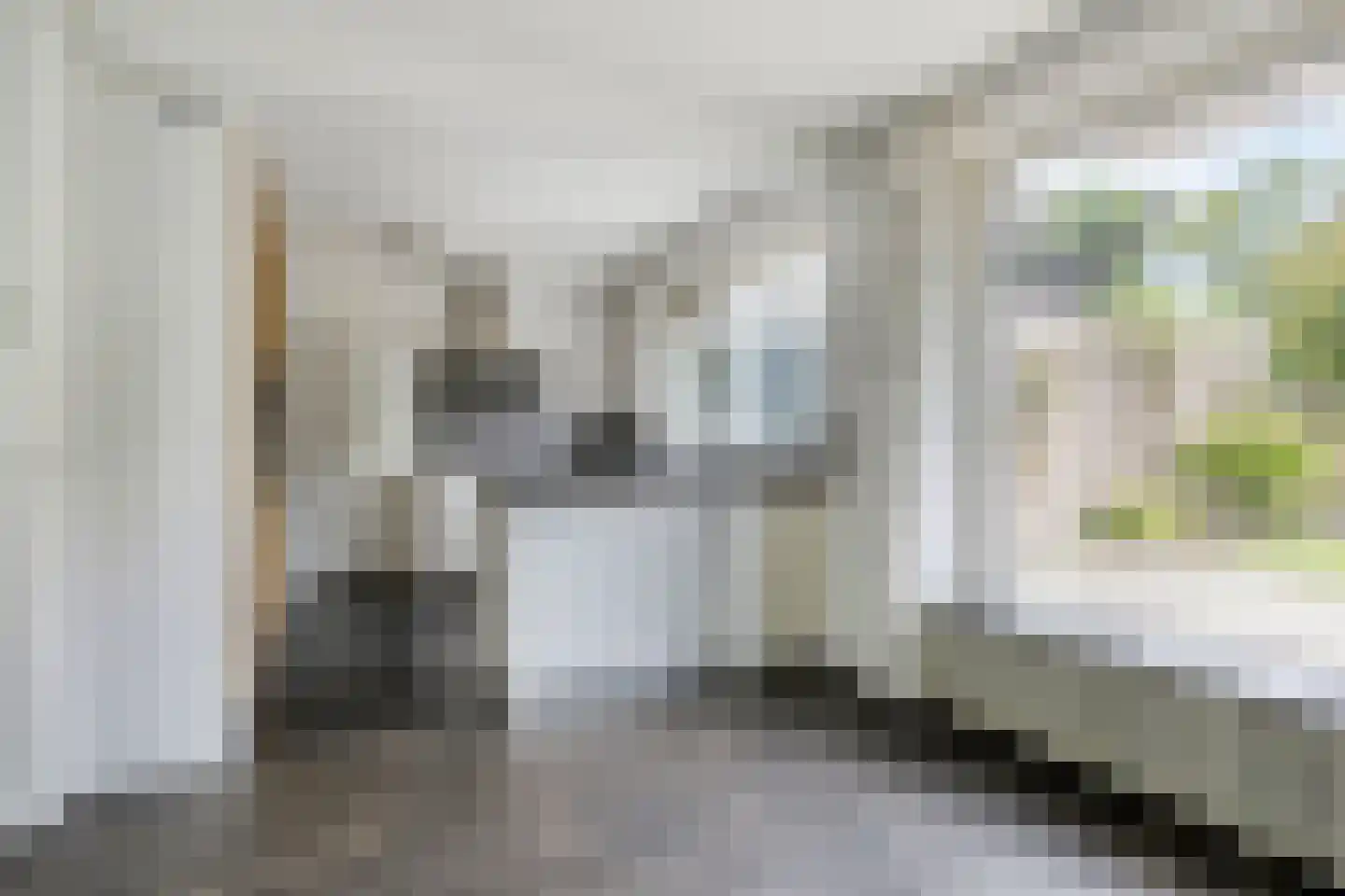 Alberthus Risaeusstraat 8 a Hardenberg thumbnail 11