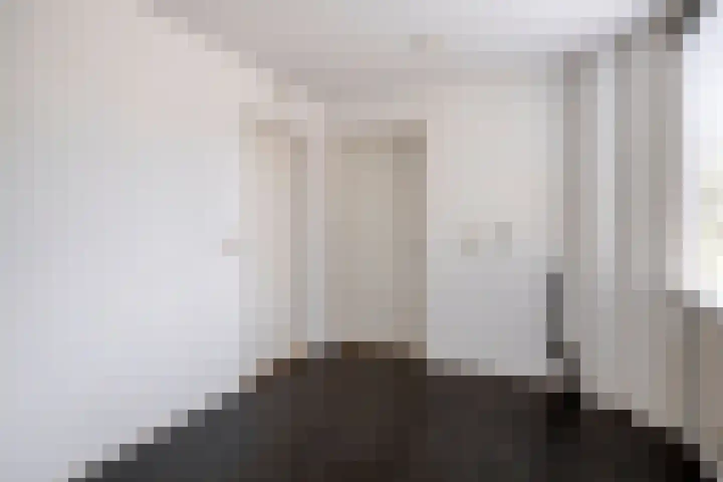Alberthus Risaeusstraat 8 a Hardenberg thumbnail 18