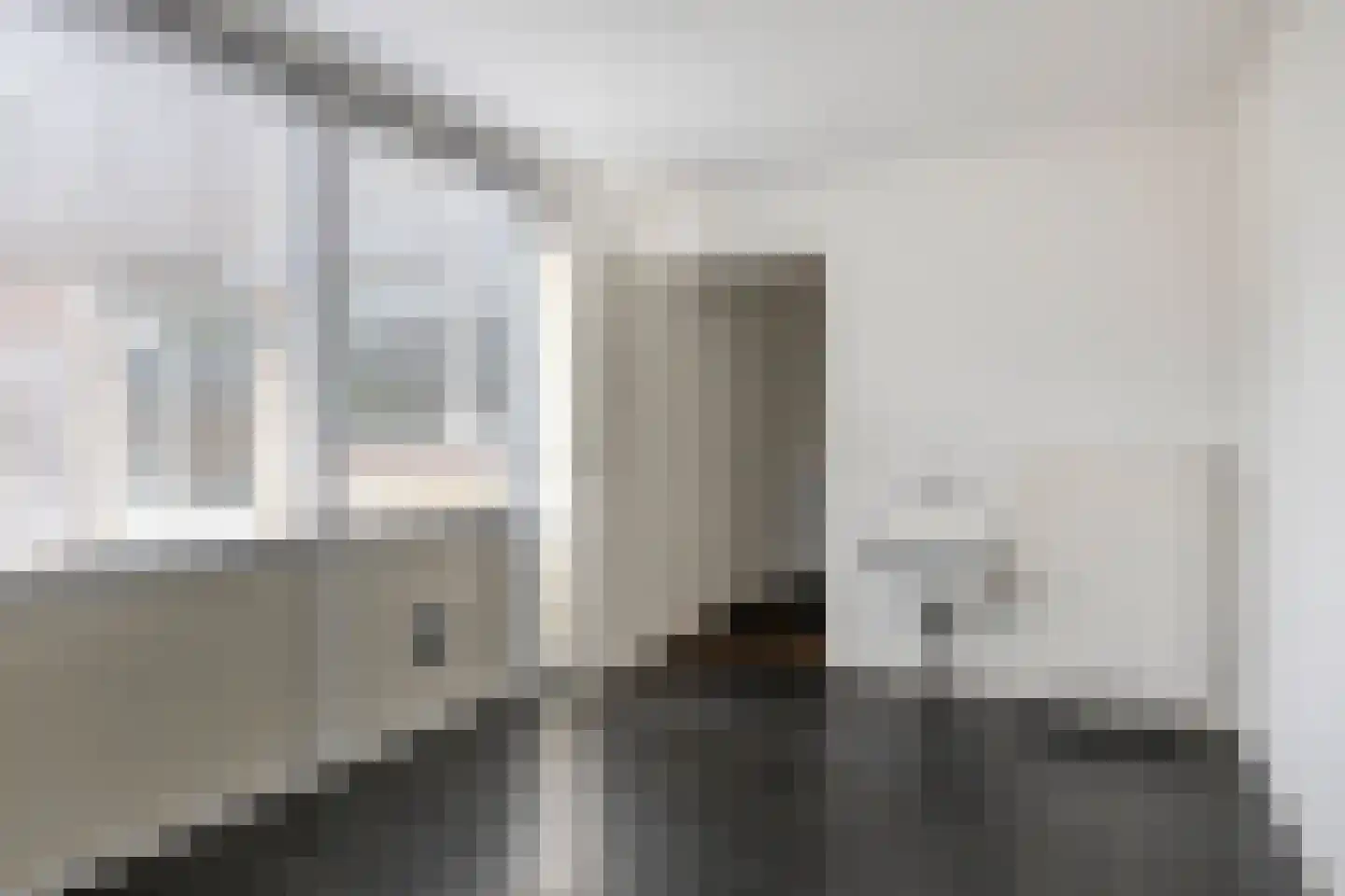 Alberthus Risaeusstraat 8 a Hardenberg thumbnail 19