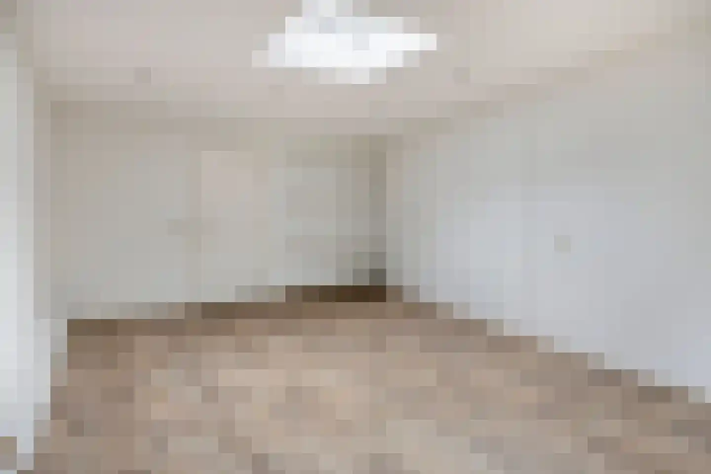 Alberthus Risaeusstraat 8 a Hardenberg thumbnail 21
