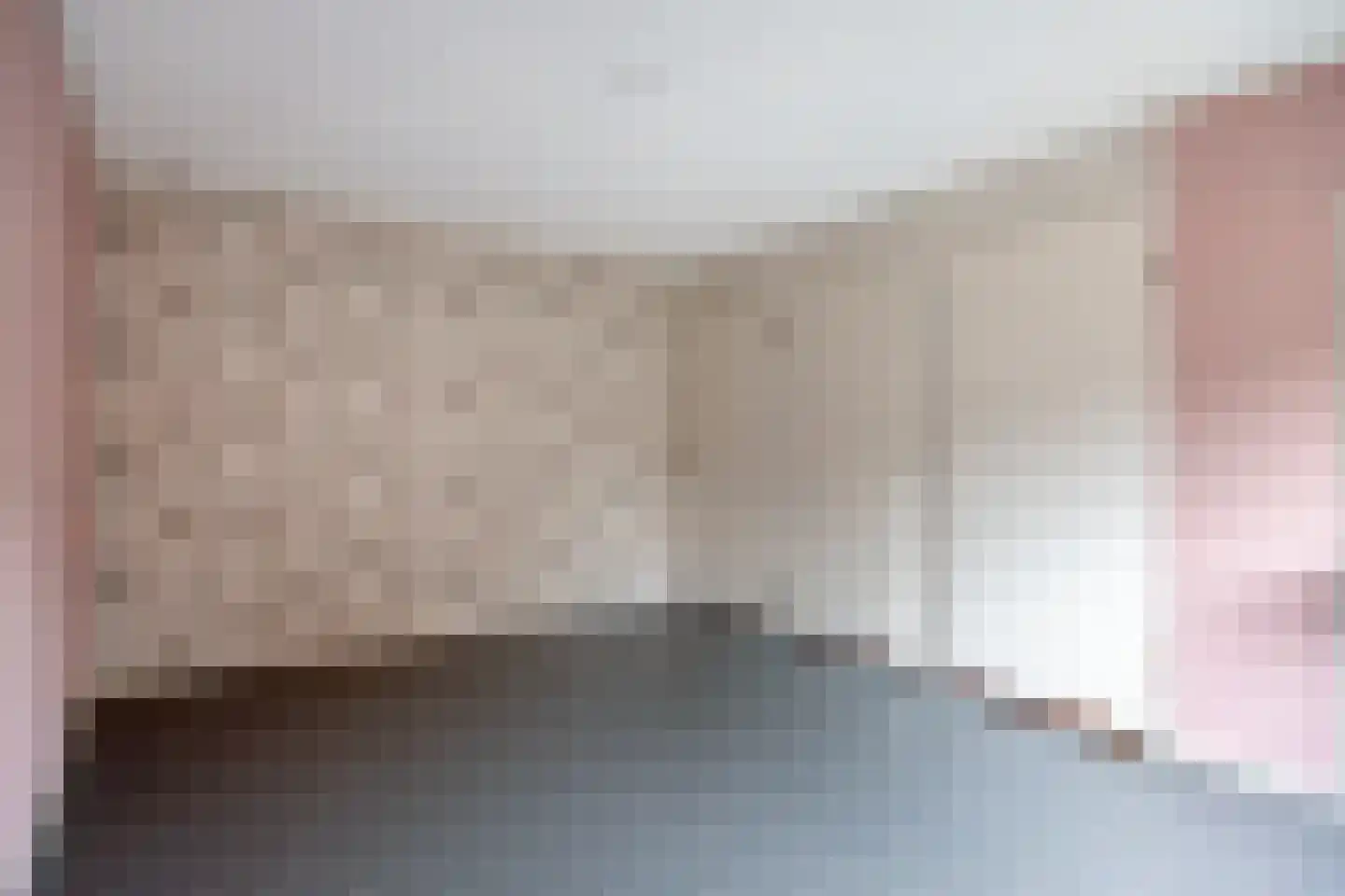 Alberthus Risaeusstraat 8 a Hardenberg thumbnail 25