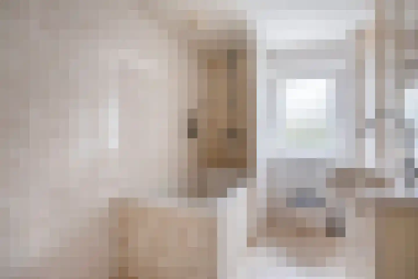 Alberthus Risaeusstraat 8 a Hardenberg thumbnail 29