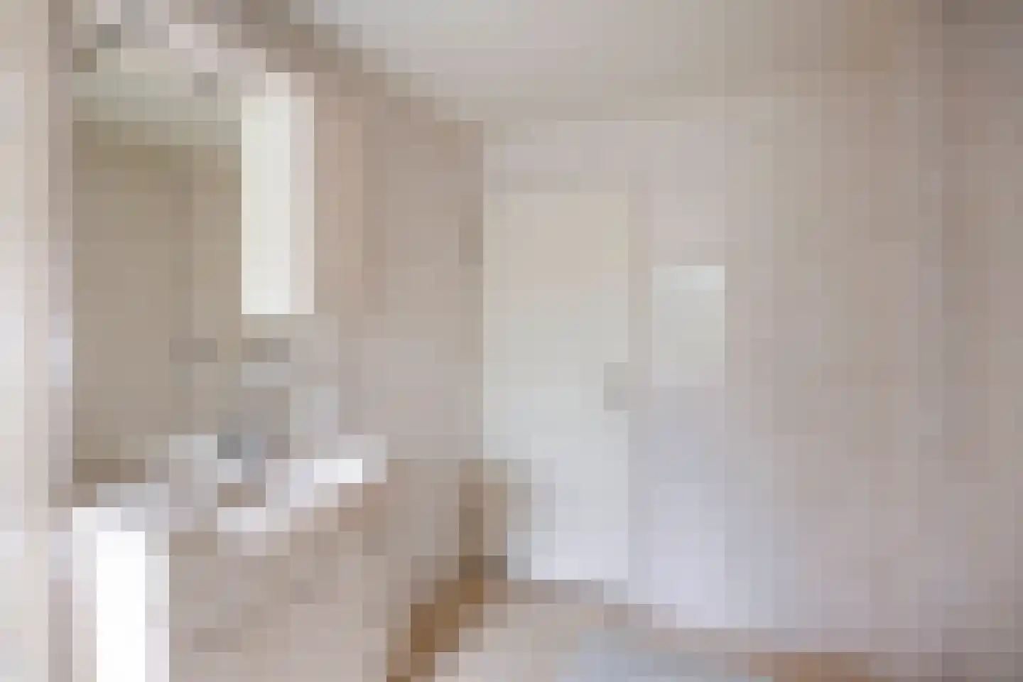 Alberthus Risaeusstraat 8 a Hardenberg thumbnail 30