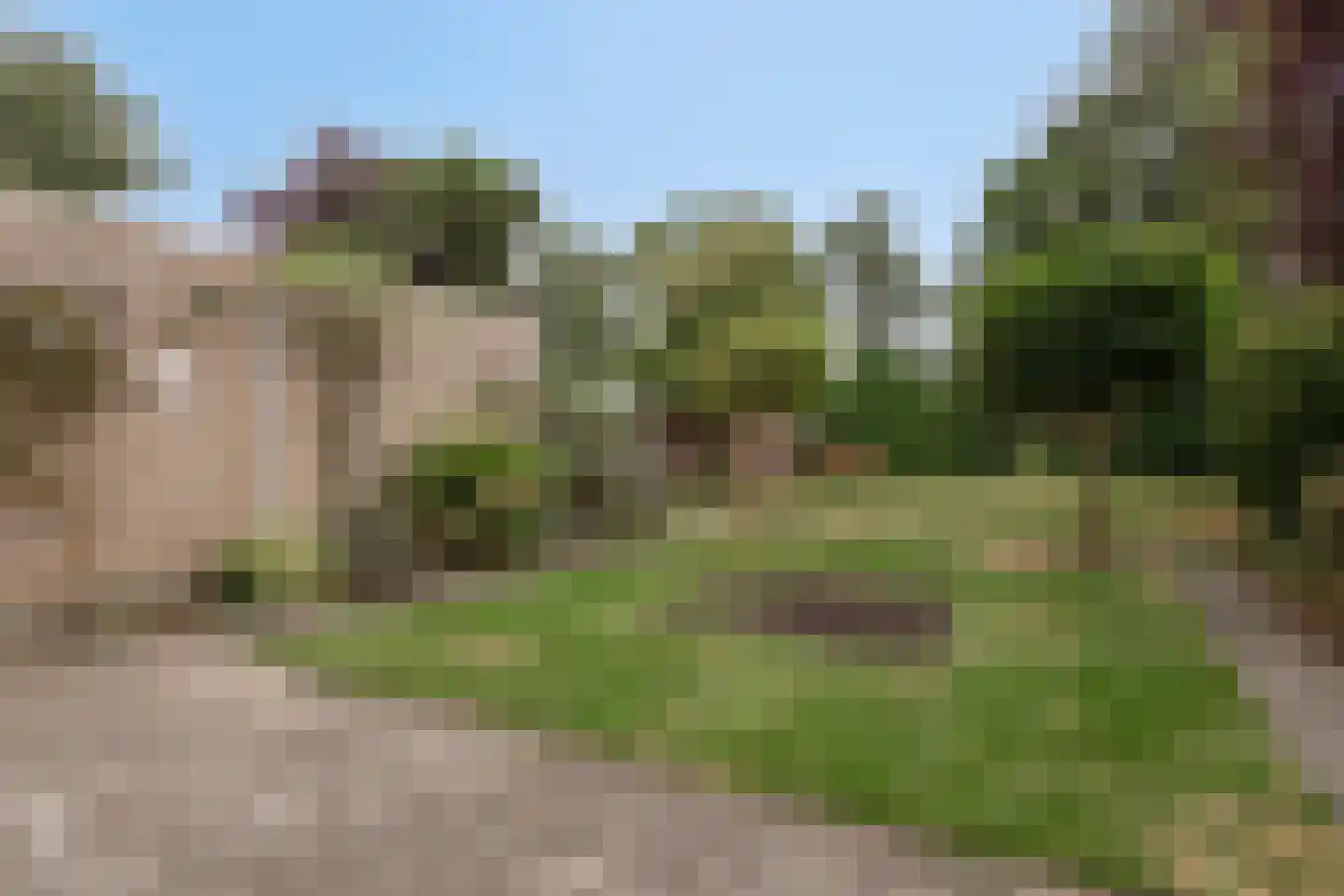 Alberthus Risaeusstraat 8 a Hardenberg thumbnail 35