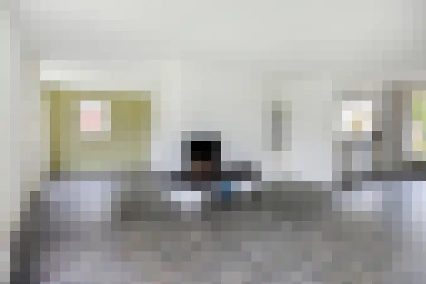 Alberthus Risaeusstraat 8 a Hardenberg thumbnail 8