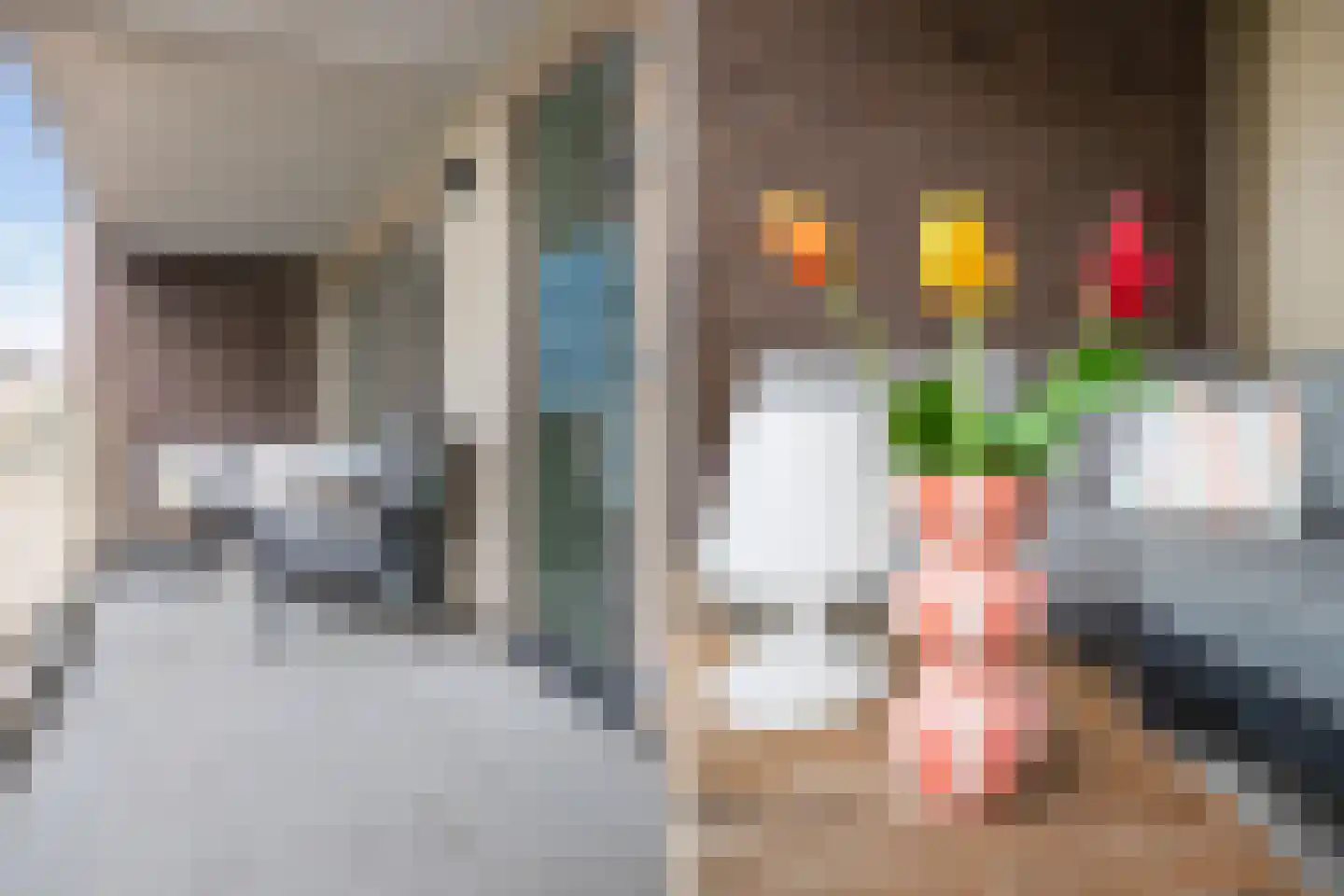 Albertina Agnesstraat 184 Alkmaar thumbnail 36