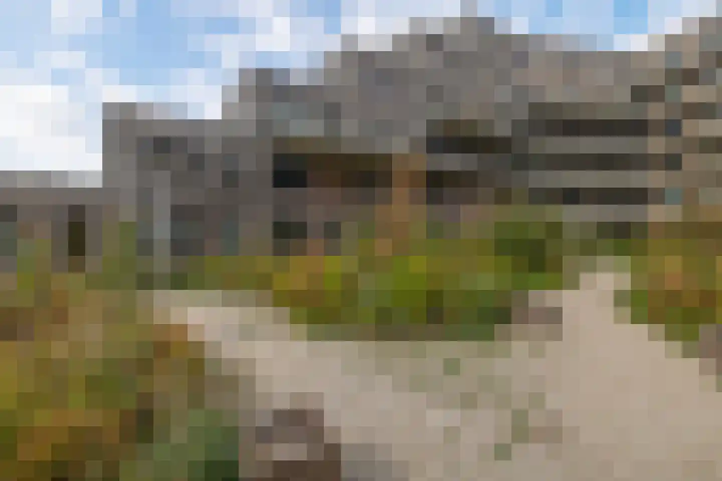 Albertina Sisulupad 116 Rotterdam thumbnail 12