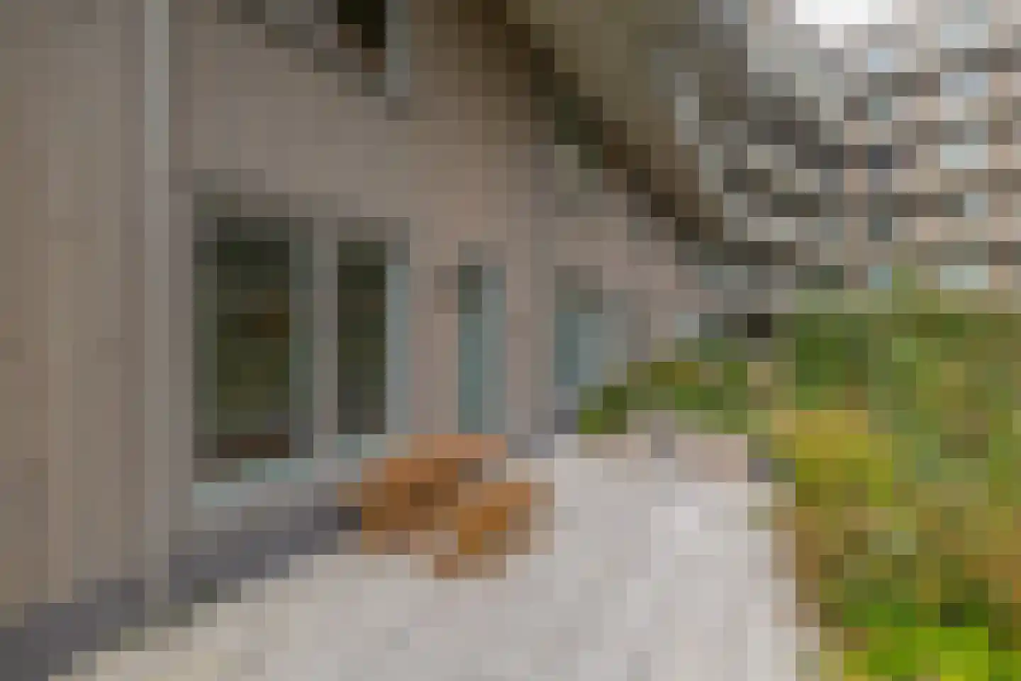 Albertina Sisulupad 116 Rotterdam thumbnail 7